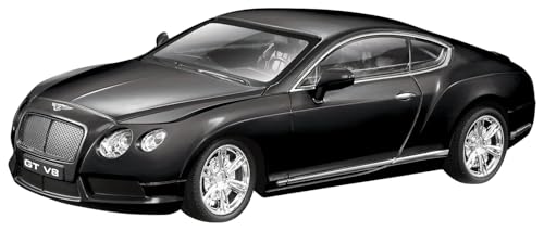 F (Doyusha) 2.4GHz 1/24 xg[ R`l^ GT V8  dWIRg[ 630677