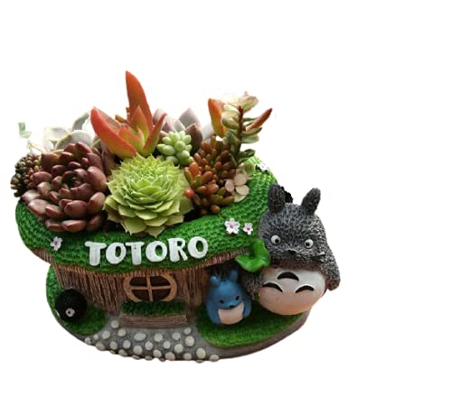 Brotherhood Enterprise Resin Indoor and Outdoor Succulent Decor Totoro Garden Planter Pot, Small, 1 Piece (B094FGFGGR) Amazon Price History, Amazon Price Tracker