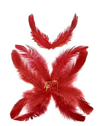 Image of Natural Dyed Feathers 10 cm (80 pieces) (Maroon)