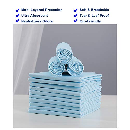 HI FINE CARE Dog Training Pad, Pet Pee Pads Puppy Cat Potty Pads Leak-Proof Quick Dry Disposable Super Absorbent,S 100 Count (13in×18in)