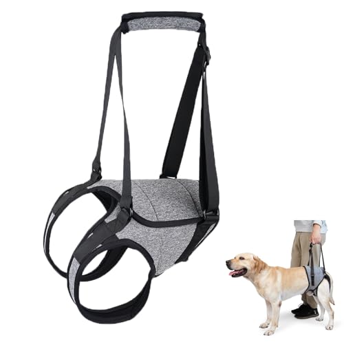 Tragehilfe Hund Groß, Tragehilfe Hund Hinterbein s, Dog Back Leg Support, Dog Carrying Aid, Verstellbares Hundegeschirr für Hinterbein, für Ältere, Behinderte Und Behinderte Hunde. (S)