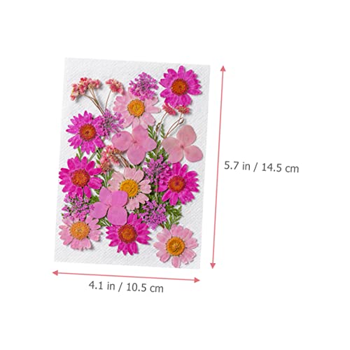 STOBOK 100 Pçs Pacote De Material De Flores Secas Acessórios De Tecnologia Para Unhas Decoração De M