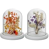 Set de 3 fanales Set de 3 fanales de Cristal con Base de Madera y Flores Artificiales en Tonos Naturales y Suaves 11x11x13cm