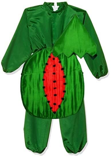 Chrisley Enterprises Watermelon Friut Costume For Kids | Cutout With Green Jmpsuit, Kids Fancy Dress (4-5 Years) - Polyester (B0C3QPPGYB) Amazon Price History, Amazon Price Tracker