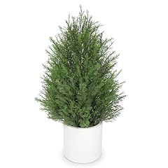 1 Pack- 27'' White Pot