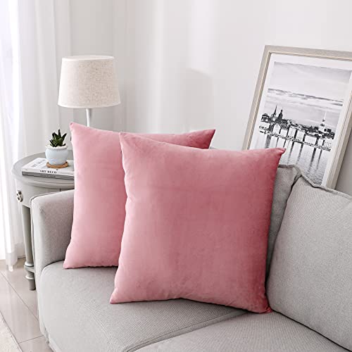 NiNi ALL Decorative Throw Pillow Covers Velvet Soft for Couch Sofa Bedroom Living Room Outdoor Pack of 2 18x18 Inch Pink
