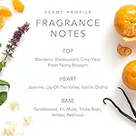 SCENT-BEAUTY-Dolly-Parton-EDT-Perfume-for-Women-Scent-from-Above-34-Fl-Oz