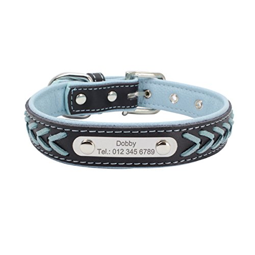 Leder Hundehalsband Hundemarke mit Personalisiert Edelstahlplatte,Hellblau,M Cover