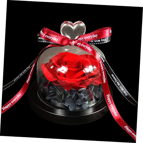 jojofuny 2 Pçs Vidro Rosa Fresco Preservado Dia Para Namorada Fita Cúpula Aniversário Mães Aniversár