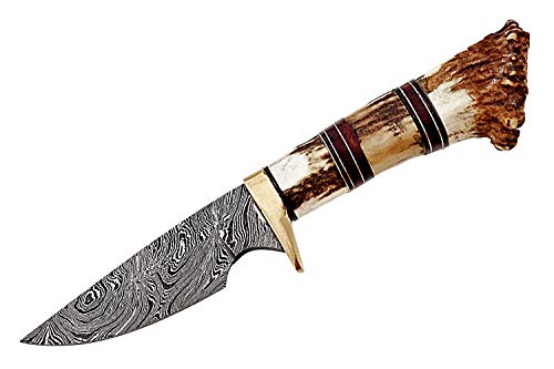 Damascus Steel Hunting Knife - Fixed Blade Knives with Sheath - Firm Grip Handle Made of Stag Horn(ST2) - Thumbnail 2