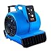 VEVOR Air Mover, 1 HP 4000 CFM Carpet Dryer for Cooling and Ventilating, Portable Floor Blower Fan with 3 Blowing Angles and Time Function, for Janitorial, Home, Commercial Use
