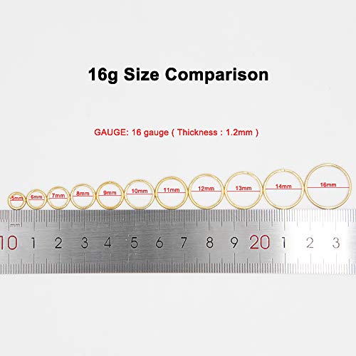 Image of FANSING Men Women 316L Surgical Steel Hinged Nose Rings Hoop for Nostril Septum Cartilage Helix Daith Tragus Rook Conch Lip Ear Lobe Piercings