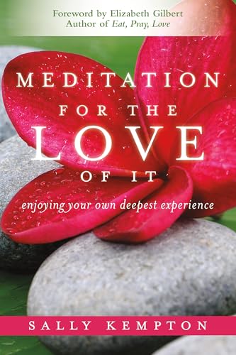 Meditation for the Love of It: Enjoying Your Own Deepest Experience image 3