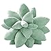 WUHNGD 3D Succulents - Almohada de cactus de 9,8 pulgadas con forma de planta, cojín de felpa para decoración del dormitorio
