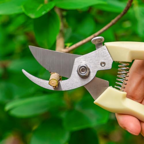 Tijeras para Jardín para Arbustos y Plantas miniatura 5
