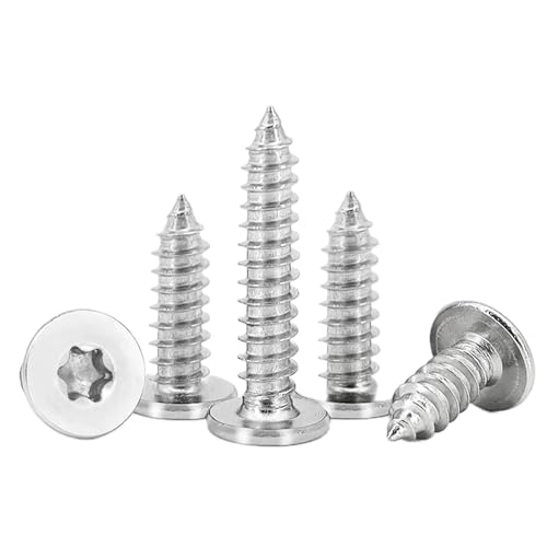 FandWay M3x16mm Torx Flachkopf Blechschrauben,Senkkopf Selbstschneidende Schrauben,100 Stück Edelstahl A2 V2A Holzschrauben,Flachem Kopf Selbstbohrende Schrauben Vollgewinde mit 1 T8 Bit Und Kasten.