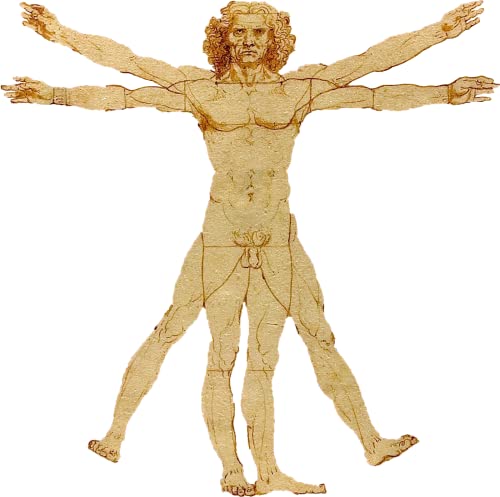 Pull Homme Leonardo Da Vinci, cadeau idéal pour passionné