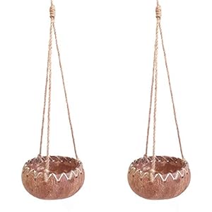 Set of 2 Hanging Fiber Coconut Planters w/Drainage Hole- Perfect for Succulents, Flowers, Small Plants, Indoor & Outdoor Gardens- Handcarved by Artisans, Eco-Friendly & Sustainable