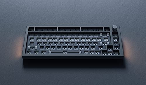 Glorious Modular Mechanical Keyboard Pro - GMMK Pro - Teclado Premium RGB 75% (GMMK Pro (75%), Black