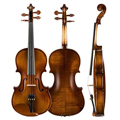 Professional Violin Beginner Full Size