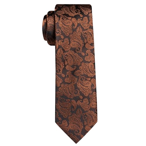 Image of Barry.Wang Paisley Tie for Men Silk Woven Necktie and Tie Clip Set Wedding Party Business Formal