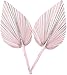 2PCS Kolorowe wysuszone liście palmowe, 23,6"czeskie wentylatory dłoni, tropikalne wysuszone włócznia palmowe kształt serca Wystrój czcika palm,Light pink