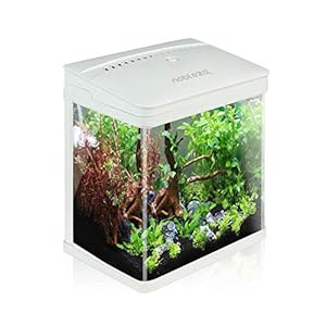 Nobleza – VDE EU Plug Vissen aquarium met LED-verlichting en filtersysteem, tropische aquaria, 7 liter, wit