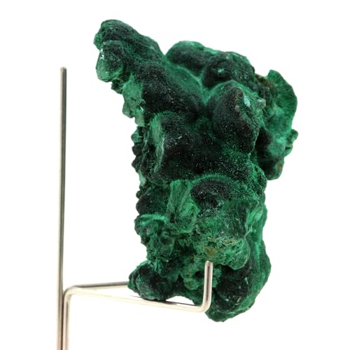 Malachite 557.5 Carats Katanga Congo minéral de collection authentique