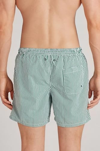 Man's Green Stripe Print Swim Trunks3