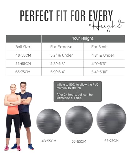 Image of ROMIX Exercise Ball, Anti-Burst Extra Thick Yoga and Birthing Ball with Pump, Non-Slip Stability Ball for Fitness, Pilates, Pregnancy, Physical Therapy, Home Gym, 55 /65 /75 cm (22 /26 /30 in)