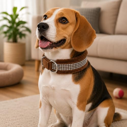 Image of Nylon Dog Neck Belt Collar Combo Set, Adjustable Size, Durable Material, Comfy Soft Fur Padded for 35+ Kilograms Dogs (XL, Brown, Blue, Pack of 2)