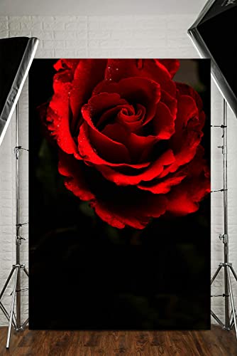 Fondo fotográfico de vinilo 5x7ft negro y rojo miniatura 6