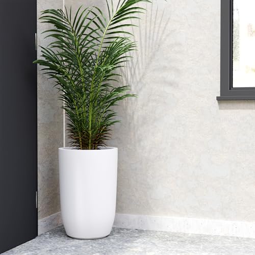 Image of YUCCABE ITALIA FOXB TPC 18 INCH Pots for Plants Highly Durable Polymers Lightweight Indoor Outdoor Plant Pots, Flower Pot Gamla Tree Planter Container Planters for Living Room, Balcony, Garden