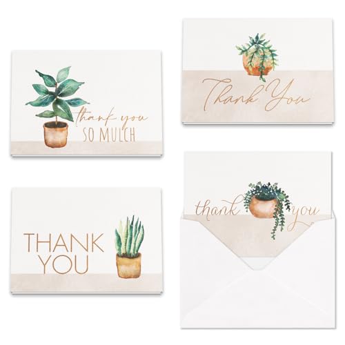 Hortense B. Hewitt 24-Count All Occasion Succulent Charm Thank You Note Cards, Succulent Charm, 4.87" x 3.5"