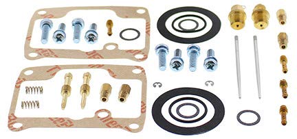 Carburetor Repair Kit Compatible with Ski Doo 550 Summit 550F 2003-2009 Snowmobile Part# 141-8944