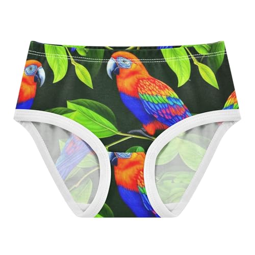 Vibrant Birds Green Leaves Toddler Girls Underwear 2t Cotton Panties Little Girl Colorful Briefs Undies Kids