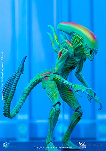 Mejores review On-line Alien vision listamos los 10 mejores. 12 Imagen adicional