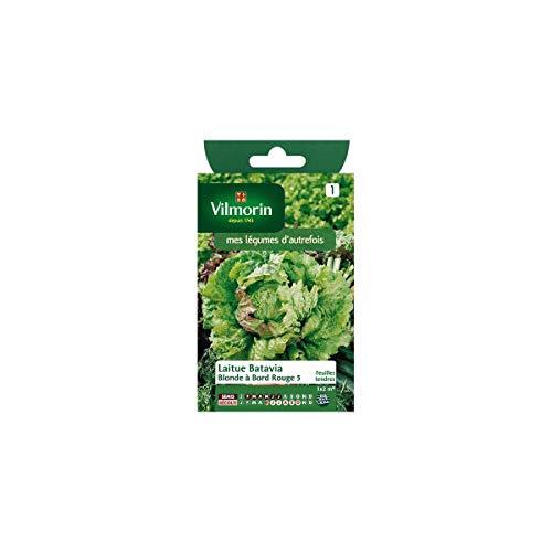 Vilmorin - Sachet graines Laitue Batavia Blonde à bord rouge 5