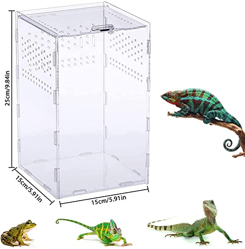 Étui d'élevage de reptiles en acrylique avec ventilation optimale pour araignée - 3