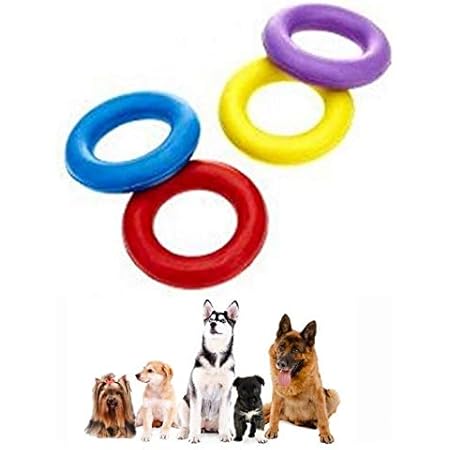 dog rubber ring