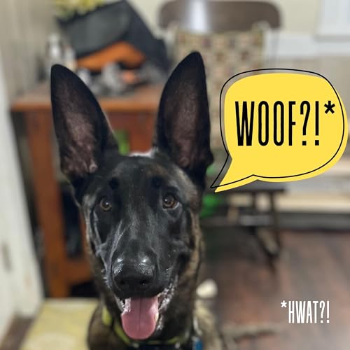 50: Finlay is Grounded