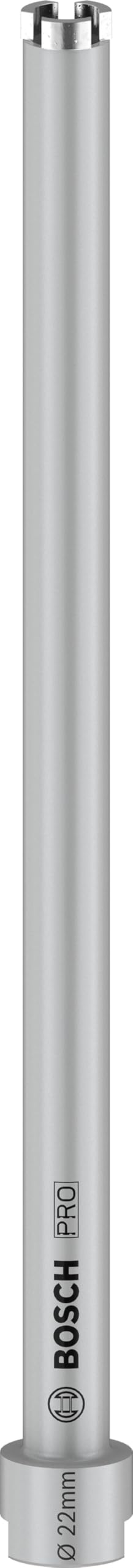 Bosch 1 x PRO elmas matkap ucu için, G 1/2 inç (kireç ve kum taşları, tuğla, çap 22 mm, profesyonel aksesuar elmas matkap ucu)
