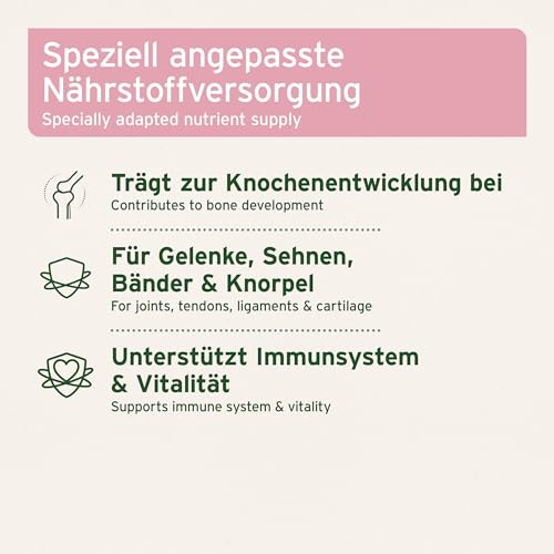 AniForte Junior Active für Welpen und Junge Hunde 250g - Für Knochen, Sehnen, Bänder, Zahn Entwicklung von Welpen & Junghunden. Puppy Ergänzung mit Kalzium, Vitaminen und Mineralien