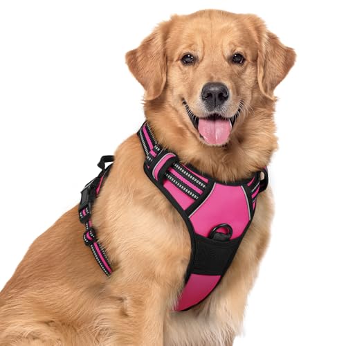 Image of rabbitgoo Dog Harness No Pull with 2 Leash Clips, Adjustable Soft Padded, Reflective Oxford No Choke Pet Vest with Easy Control Handle for Large Dogs, Hot Pink, XL