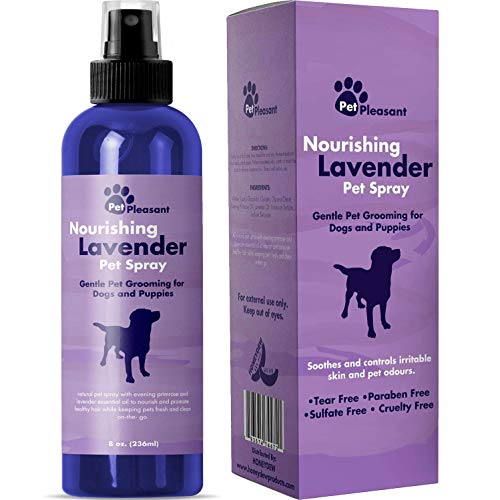 Natural Pet Spray  Aromatherapy Lavender Essential Oil & Primrose Fur Deodorizer - For Dogs & Puppies  Cat Grooming Spray - Cleaner & Odor Control Spray - Cruelty Free  Tear Free Formula 8 Oz