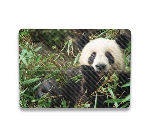 Image of MightySkins Carbon Fiber Skin Compatible with Microsoft Surface Laptop Studio 2 (2023) Full Wrap Kit - Chill Panda | Protective, Durable Textured Carbon Fiber Finish | Easy to Apply | Made in The USA