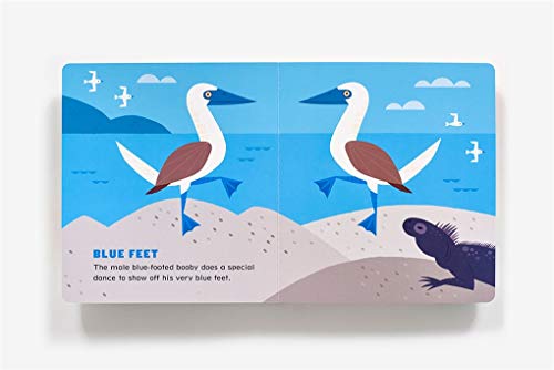 So Many Feet - Image 4