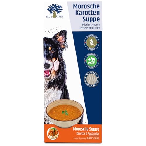 Blue Tree Morosche Karottensuppe 400g
