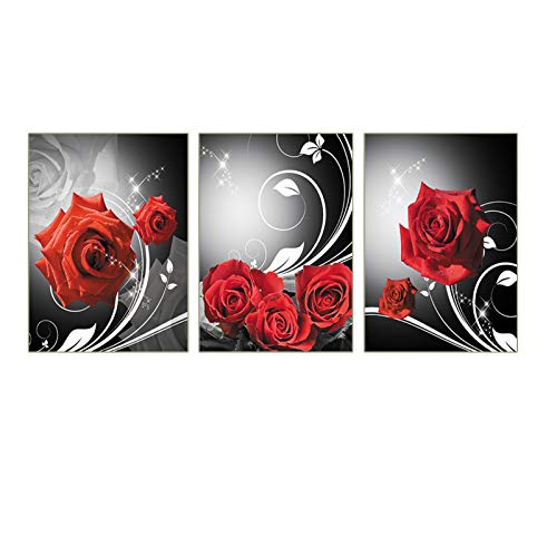 Unframed Modern Art Black and White Wall Romantic Red Rose Flower Poster Art Painting Set of 3 (â€œ 8x10â€Canvas Picture) Girl Bedroom Spa Bathroom Art Prints Living Bedroom Corridor Kitchen Home Decor