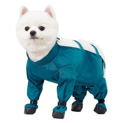 1BMXt̒ʋC̃I[o[I[AEghAAhx`[̂߂̒\ȃWvX[c